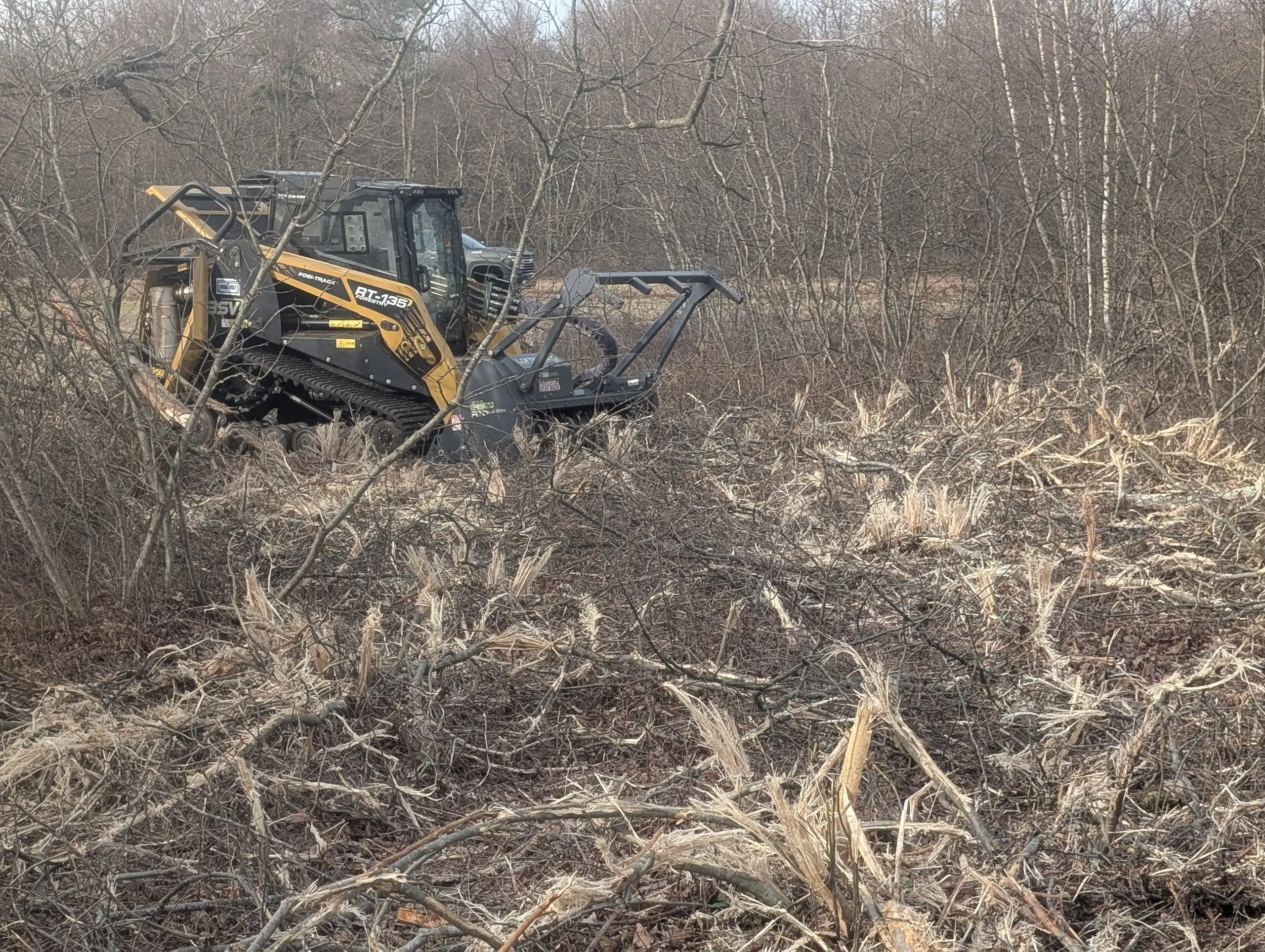 Firebreak & Brush Clearing