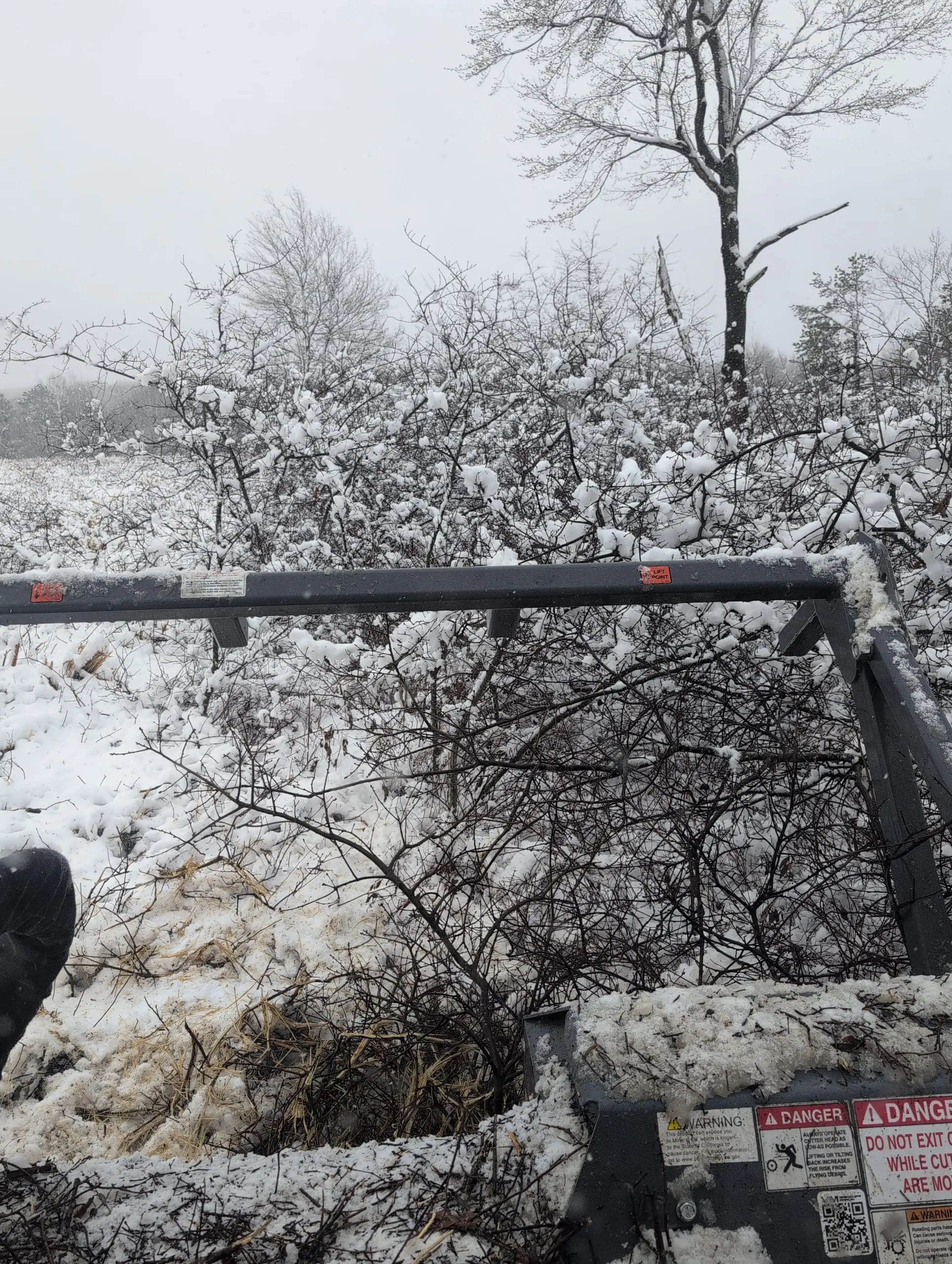 All-Season Forestry Mowing — project photo 2