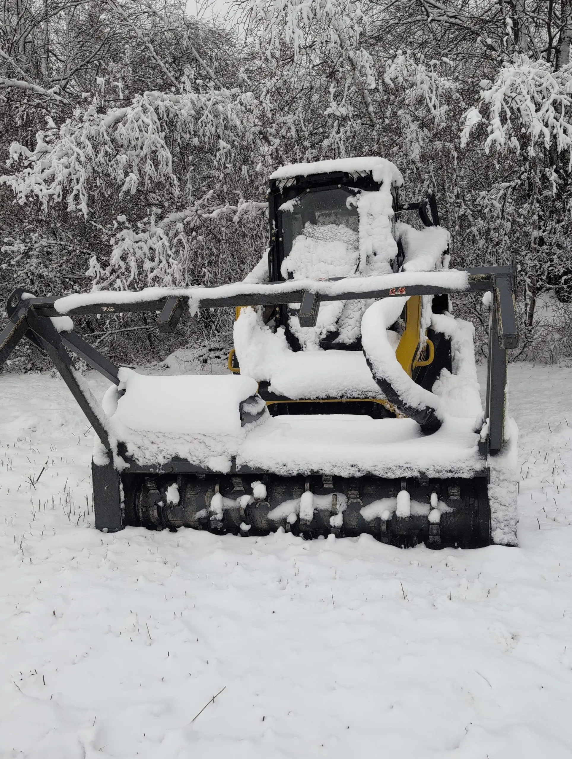 All-Season Forestry Mowing